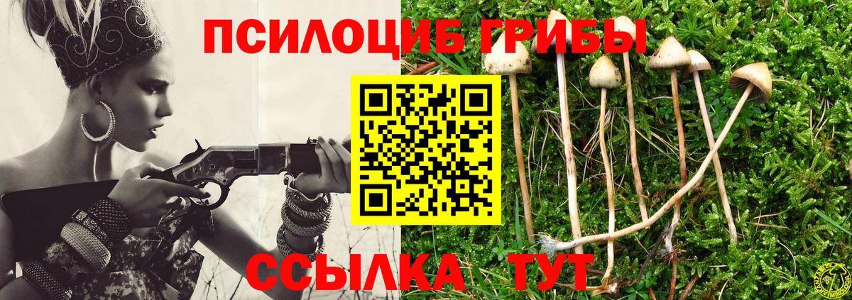даркнет сайт  Вход с VPN  Новоуральск  Галлюциногенные грибы MAGIC MUSHROOMS 