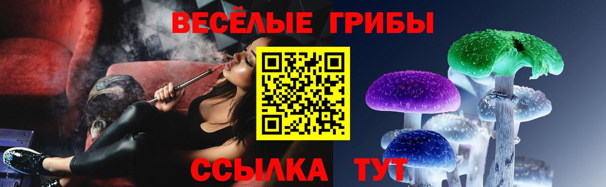 Псилоцибиновые грибы прущие грибы Новоуральск